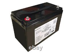 100Ah 12V LiFePO4 LITHIUM BATTERY for Leisure, Solar, Wind and Off-grid 12 volt