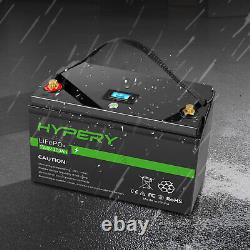 100Ah 12.8V LITHIUM LiFePO4 Deep Cycle Battery For Leisure, RV Solar, Off-grid