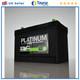 110ah 2yr Leisure Battery S6110l Platinum Genuine Top Quality Guaranteed New
