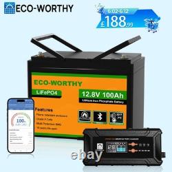 12V 100AH LiFePO4 Lithium Leisure Battery+20A Smart Battery Charger Caravan Vans