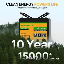 12V 100AH LiFePO4 Lithium Leisure Battery+20A Smart Battery Charger Caravan Vans