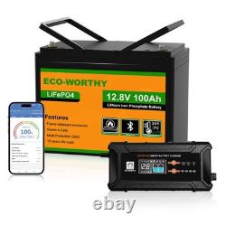 12V 100AH LiFePO4 Lithium Leisure Battery+20A Smart Battery Charger Caravan Vans