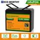 12v 100ah Lithium Leisure Battery Lifepo4 Low Temperature Solar Rv Garden