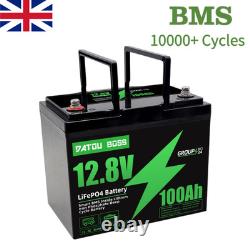 12V 100AH Lithium LiFePO4 Battery Leisure Battery Low Temperature BMS Caravan RV