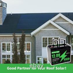 12V 100AH Lithium LiFePO4 Battery Leisure Battery Low Temperature BMS Caravan RV