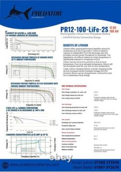 12V 100AH Lithium LiFePO4 Leisure Battery PR12-100-life-2s 330172214