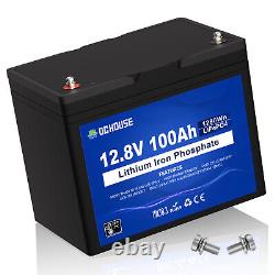 12V 100Ah LiFePO4 Battery Low-Temp Protection Lithium Leisure Battery for RV