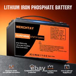 12V 100Ah Lifepo4 Leisure Battery Lithium Battery 4000+Cycles Built-in BMS Solar