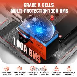 12V 100Ah Lifepo4 Leisure Battery Lithium Battery 4000+Cycles Built-in BMS Solar