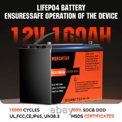 12V 100Ah Lifepo4 Leisure Battery Lithium Battery 4000+Cycles Built-in BMS Solar