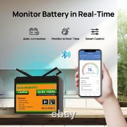 12V 100Ah Lithium Leisure Battery LiFePO4 Smart Bluetooth Motorhomes Caravan Van