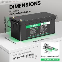 12V 200Ah 300Ah LiFePO4 Lithium Leisure Battery Deep Cycle BMS Solar Off-grid
