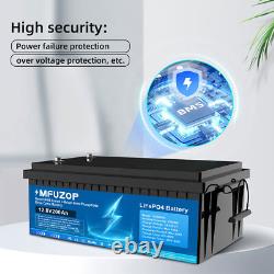 12V 200Ah LiFePO4 Lithium Battery Low Temp Leisure Battery for RV Solar 200A BMS