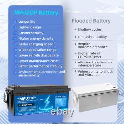 12V 200Ah LiFePO4 Lithium Battery Low Temp Leisure Battery for RV Solar 200A BMS