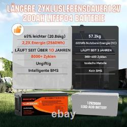 12V 200Ah LiFePO4 Lithium Battery Low Temp Leisure Battery for RV Solar 200A BMS