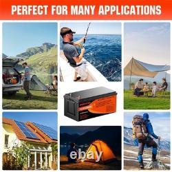 12V 200Ah LiFePO4 Lithium Battery Low Temp Leisure Battery for RV Solar 200A BMS