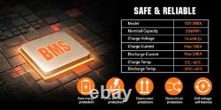 12V 200Ah LiFePO4 Lithium Battery Low Temp Leisure Battery for RV Solar 200A BMS
