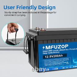 12V 200Ah Lifepo4 Battery Lithium Leisure Battery 15000+ Cycle BMS for RV Solar