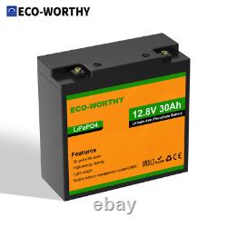 12V 20Ah 30Ah 50Ah LiFePO4 Lithium Leisure Battery 4000+ Deep Cycles Motorhomes