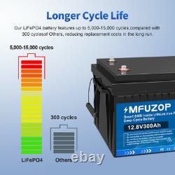 12V 300Ah LiFePO4 Lithium Battery Leisure Battery BMS Rechargeable Boat RV Camp