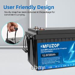12V 300Ah LiFePO4 Lithium Battery Leisure Battery BMS Rechargeable Boat RV Camp