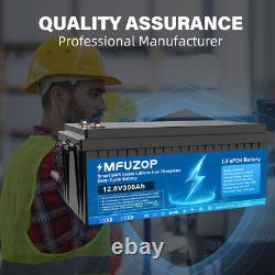 12V 300Ah LiFePO4 Lithium Battery Leisure Battery BMS Rechargeable Boat RV Camp