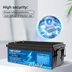 12V 300Ah LiFePO4 Lithium Battery Leisure Battery BMS Rechargeable Boat RV Camp