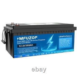 12V 300Ah Lifepo4 Battery Lithium Leisure Battery 10000+ Cycles Low Temp for RV