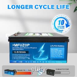12V 300Ah Lifepo4 Battery Lithium Leisure Battery 10000+ Cycles Low Temp for RV