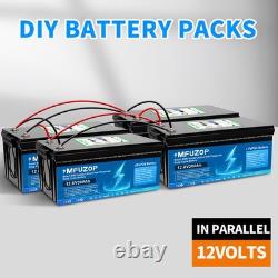 12V 300Ah Lifepo4 Battery Lithium Leisure Battery 10000+ Cycles Low Temp for RV