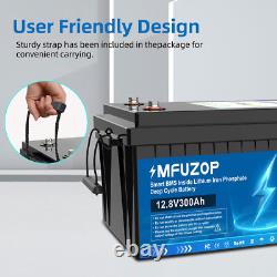 12V 300Ah Lifepo4 Battery Lithium Leisure Battery 10000+ Cycles Low Temp for RV
