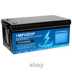 12V 300Ah Lifepo4 Battery Lithium Leisure Battery For Home Garden Solar Panel RV