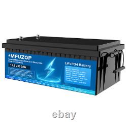 12V 300Ah Lifepo4 Battery Lithium Leisure Battery For Home Garden Solar Panel RV