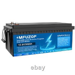 12V 300Ah Lifepo4 Battery Lithium Leisure Battery For Home Garden Solar Panel RV
