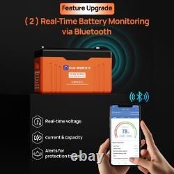 12V 314AH LiFePO4 Lithium Leisure Battery Bluetooth Communication LED Motorhomes