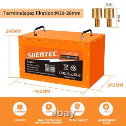 12V 50Ah 100Ah 200Ah 300Ah LiFePO4 Lithium Leisure Battery BMS Deep Cycle RV