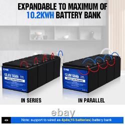 12V 50Ah LiFePO4 Battery Lithium Leisure Battery 12V for Trolling Motor RV Camp