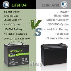 12.8V 20Ah 30Ah 50Ah 100Ah 150Ah Lithium LiFePO4 Leisure Battery BMS RV Solar