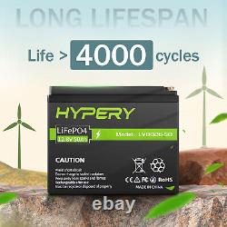 12.8V 20Ah 30Ah 50Ah 100Ah 150Ah Lithium LiFePO4 Leisure Battery BMS RV Solar