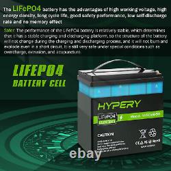 12.8V 20Ah 30Ah 50Ah 100Ah 150Ah Lithium LiFePO4 Leisure Battery BMS RV Solar