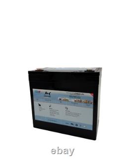 12v 110a Lithium Leisure PR12-100M-LiFe Battery 229138210 10kg smallest 100a