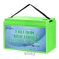 12volt 100Ah BLUETOOTH Lithium leisure battery with Smart BMS, Bluetooth LIFEPO4