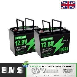 2Pack 12V 100Ah Leisure Battery LiFePO4 Lithium Battery Low Temperature Caravan