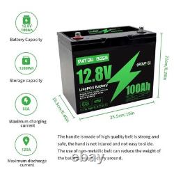 2Pack 12V 100Ah Leisure Battery LiFePO4 Lithium Battery Low Temperature Caravan