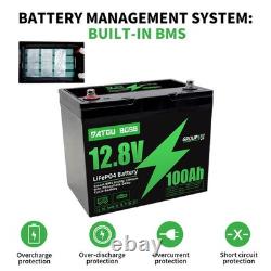 2Pack 12V 100Ah Leisure Battery LiFePO4 Lithium Battery Low Temperature Caravan