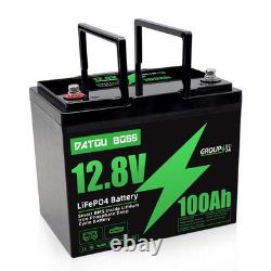 2Pack 12V 100Ah Leisure Battery LiFePO4 Lithium Battery Low Temperature Caravan