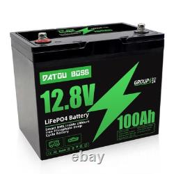 2Pack 12V 100Ah Leisure Battery LiFePO4 Lithium Battery Low Temperature Caravan