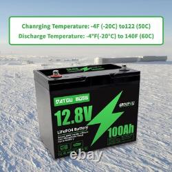 2Pack 12V 100Ah Leisure Battery LiFePO4 Lithium Battery Low Temperature Caravan