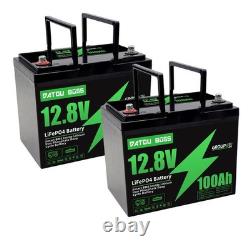 2Pack 12V 100Ah LiFePO4 Leisure Battery Lithium Battery Low Temperature Caravan