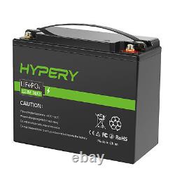 30Ah 12.8V LITHIUM Deep Cycle LiFePO4 BMS Battery For Leisure RV Solar Off- grid